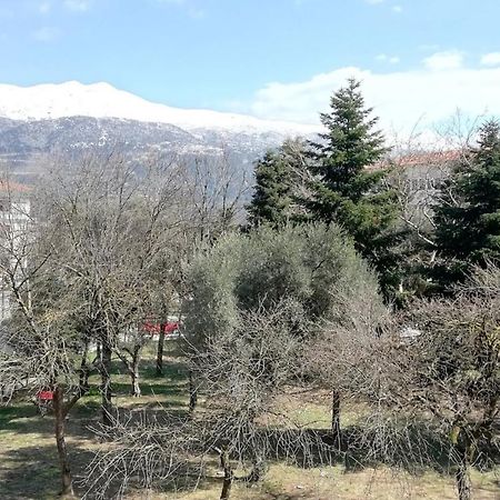 Gks Park View Apartment Ioannina Exterior foto