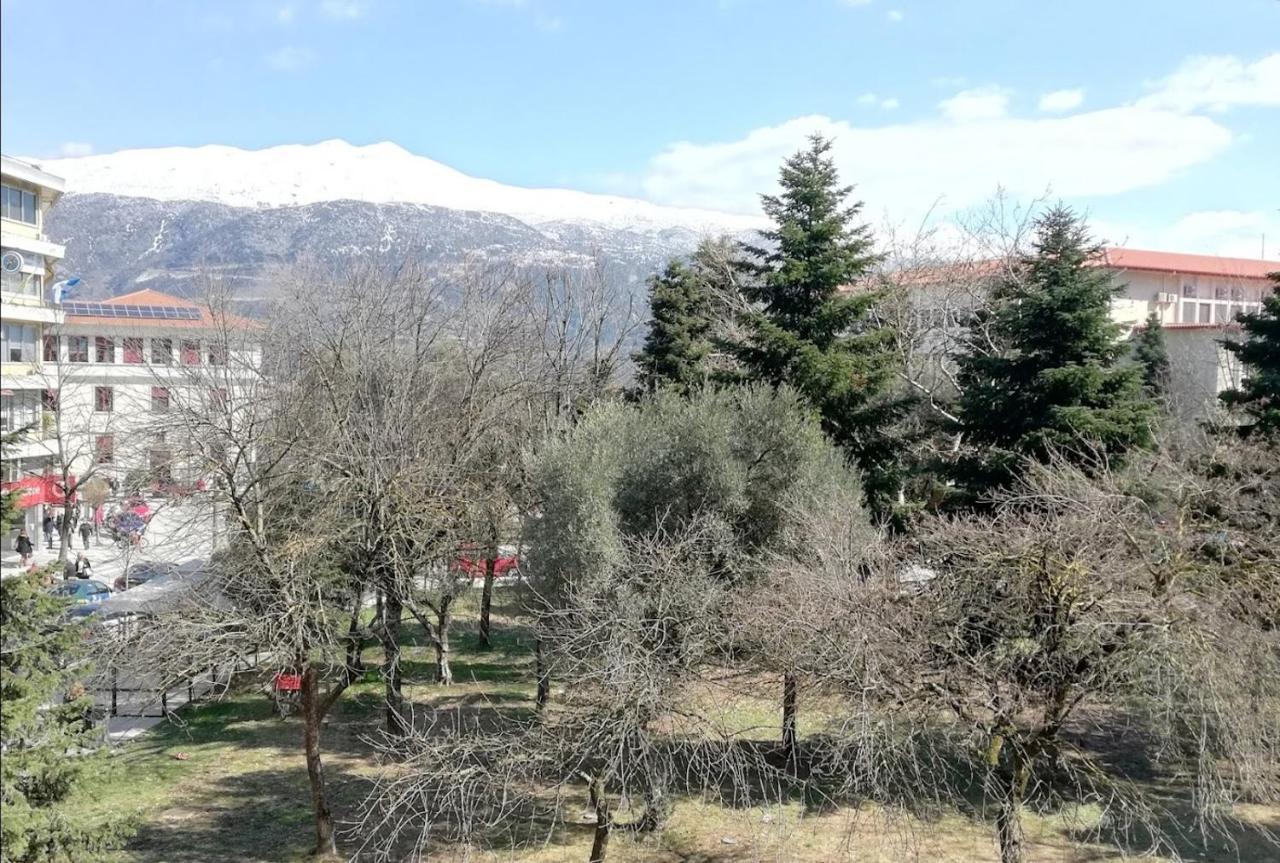 Gks Park View Apartment Ioannina Exterior foto